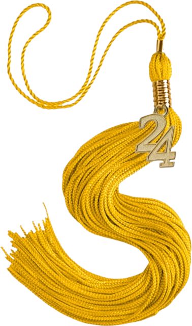 TASSEL (STANDALONE)