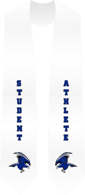 SOLANO ATHLETIC DEPARTMENT STOLE