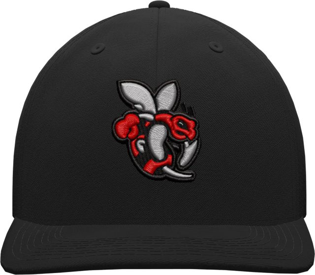 Seneca Polytechnic Sting Cap