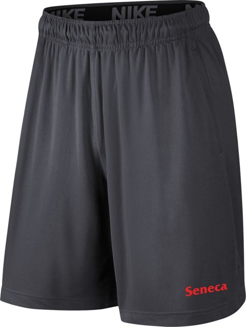 Nike college hotsell fly shorts