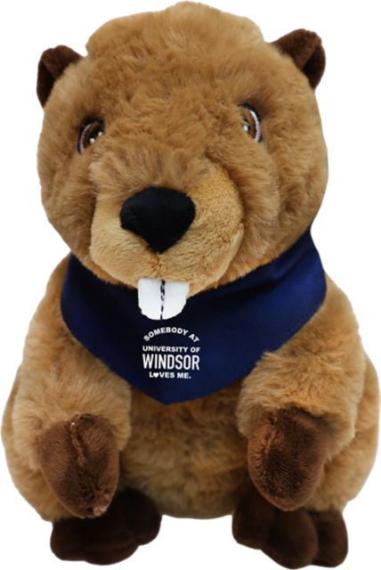 University of Windsor 9'' Plush