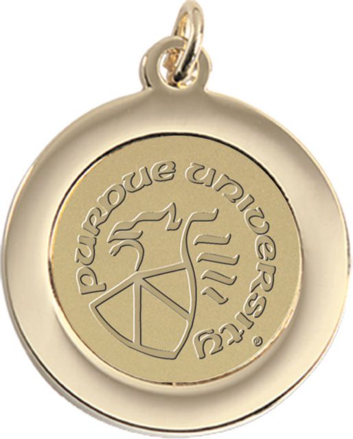 Gold Pendant/Charm - ONLINE ONLY