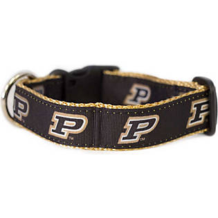 pittsburgh pirates dog collar