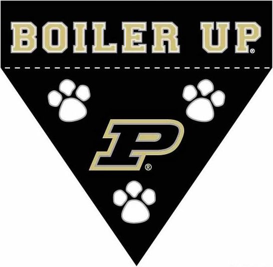 Deluxe Embroidered Pet Bandana