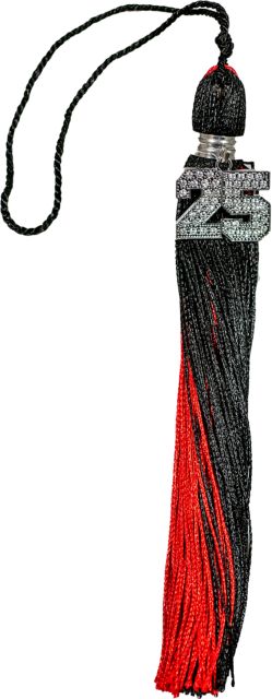 2025 Mega Ice Bling Tassel