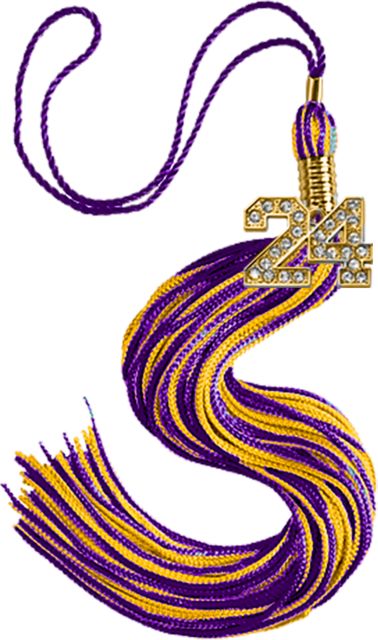 Souvenir Bling Tassel