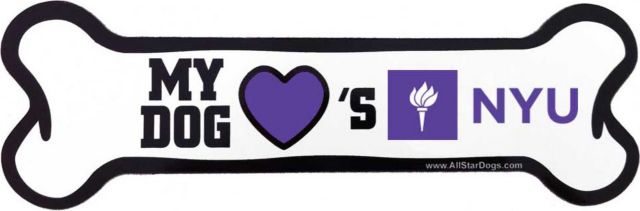 New York University Bone Magnet