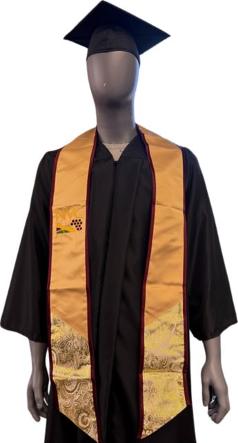 Indian Heritage Stole