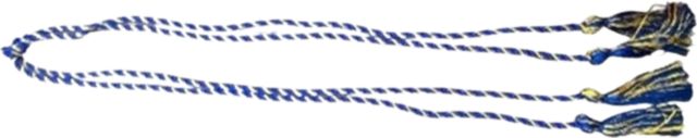 FSU Beta Gamma Sigma Cord