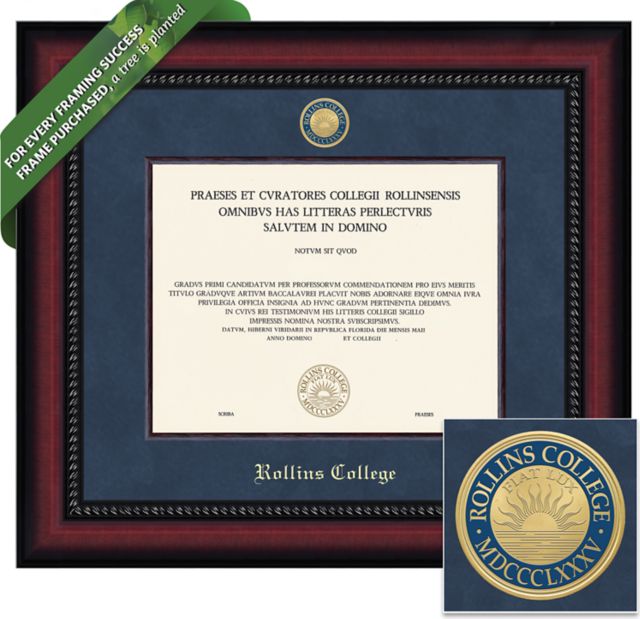 Framing Success Legacy 8.5 x 11 Diploma with Suede mat, Wood Fillet and Medallion - ONLINE ONLY