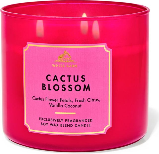 Cactus Blossom Scented 3-Wick Candle