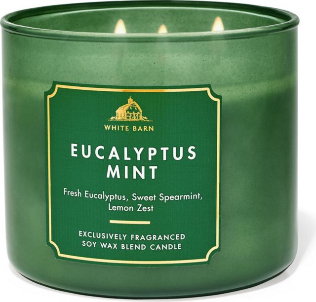 Eucalyptus Mint Scented 3-Wick Candle