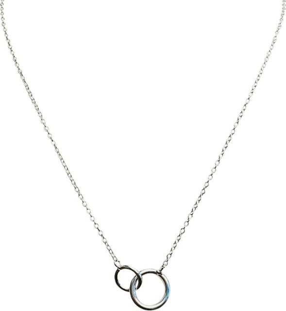 Silver Plated Double Circle Link Necklace