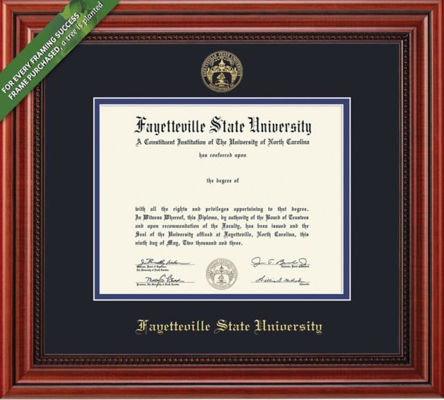 Framing Success Millennium 8.5 x 11 BA Diploma with Double mat - ONLINE ONLY