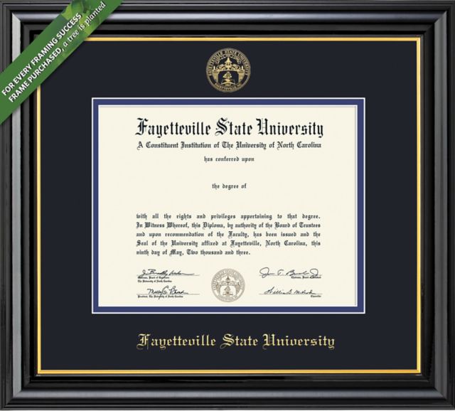 Framing Success Coronado 8.5 x 11 BA Diploma with Double mat - ONLINE ONLY