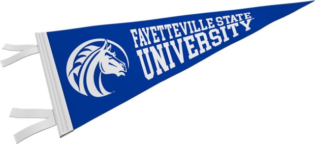 Fayetteville State University 9'' x 24'' Pennant