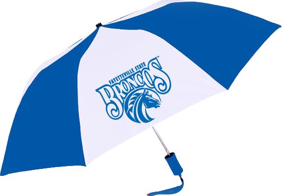 Fayetteville State University Broncos 48'' Umbrella