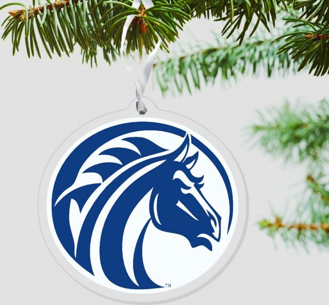 Fayetteville State University Broncos 3x4" Ornament"