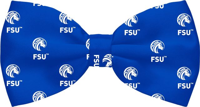 Fayetteville State University Broncos Silk Bowtie