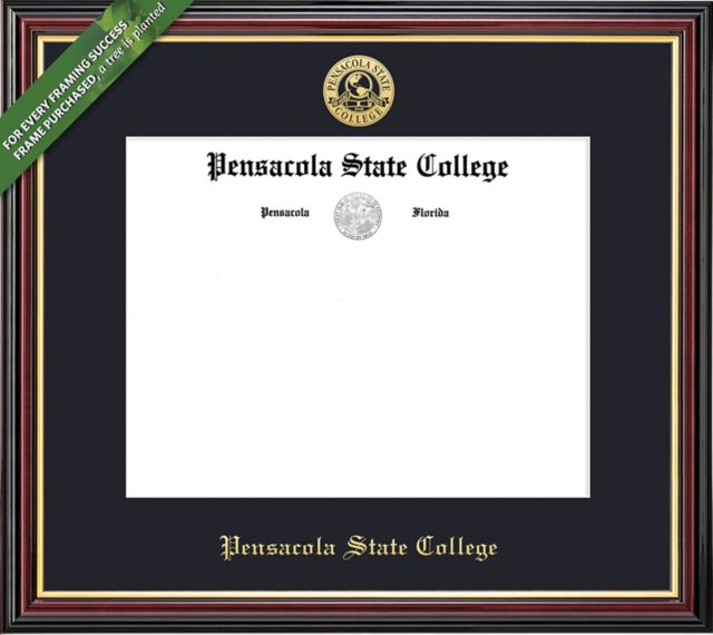 Pensacola State College 8'' x 10'' Academic Diploma Frame