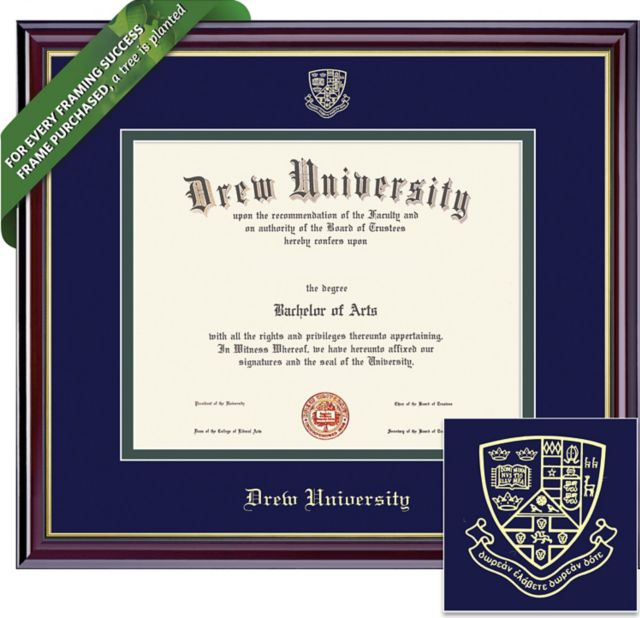 Drew University 8'' x 10'' Windsor Diploma Frame
