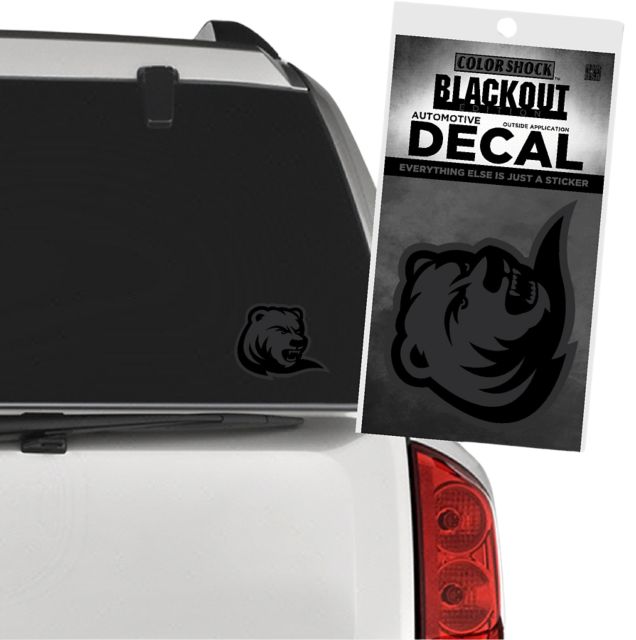 Drew University Rangers Decal