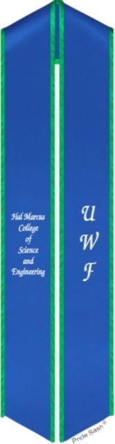 College of Science and Engineering Stole