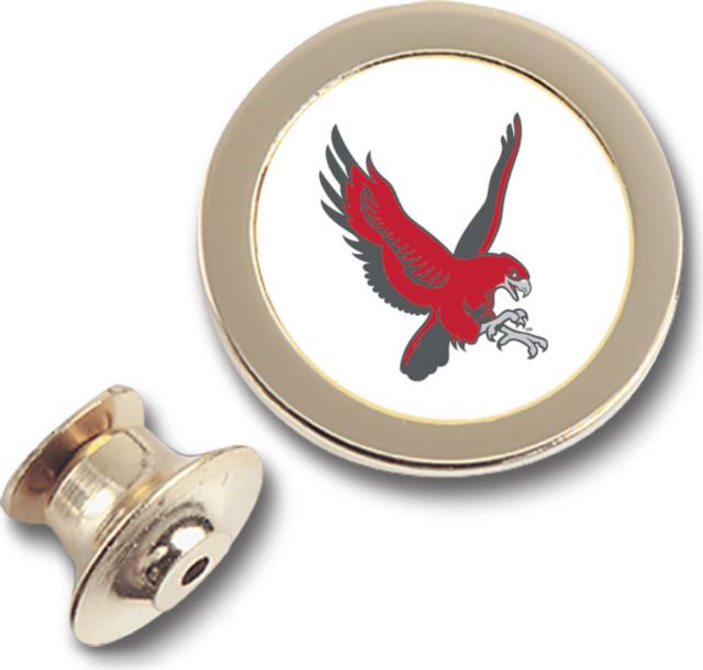 CSI Gold Lapel Pin With Colored Medallian - ONLINE ONLY