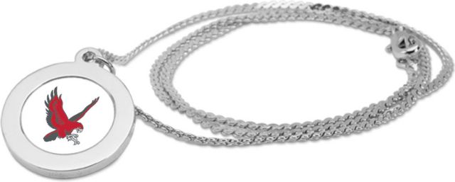 CSI Silver Pendant Necklace With Colored Medallian - ONLINE ONLY