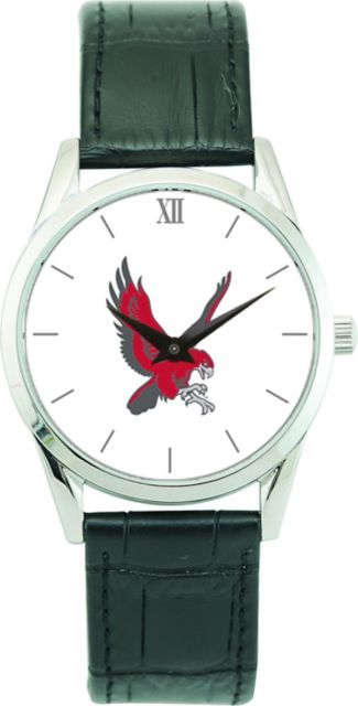 CSI Men's Stainless Steel Wristwatch  (Gift Boxed) Color Medallion Withhite Background - ONLINE ONLY