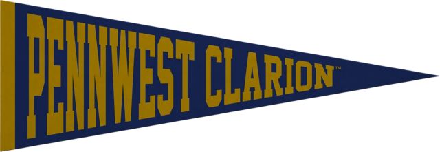 PennWest Clarion 5x15 Pennant