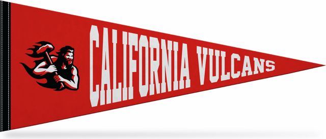 California University of Pennsylvania 12"X30" Full Color Pennant