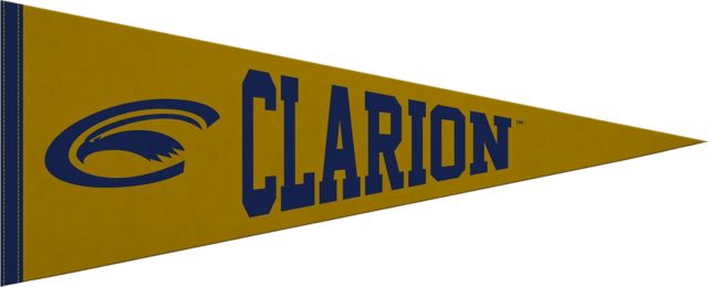 PennWest Clarion 12x30 Pennant
