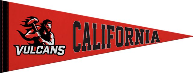 Pennwest California 9"X24" Full Color Pennant