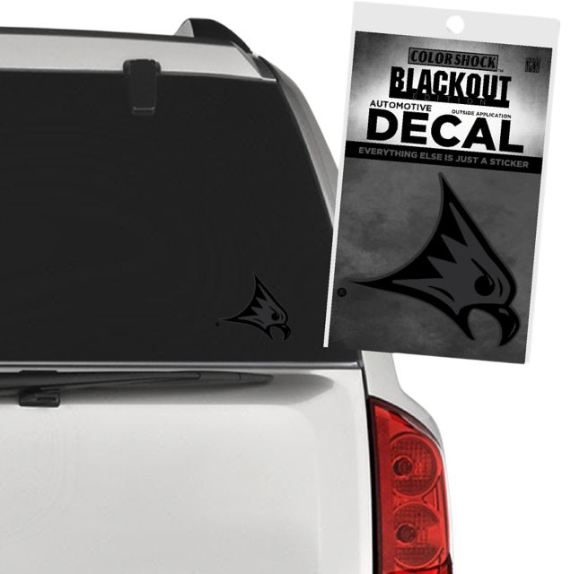 University of Wisconsin - River Falls Falcons Decal