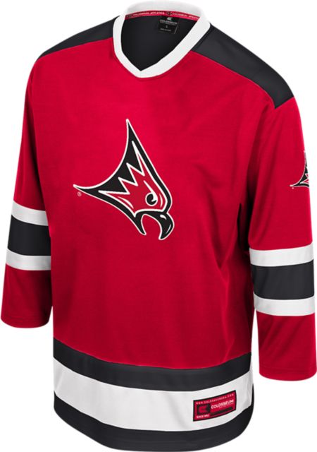 University of Wisconsin - River Falls Hockey Sweater