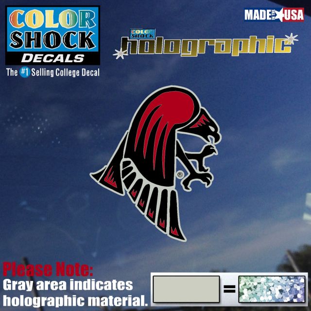 University of Wisconsin-River Falls Falcons Holographic Decal