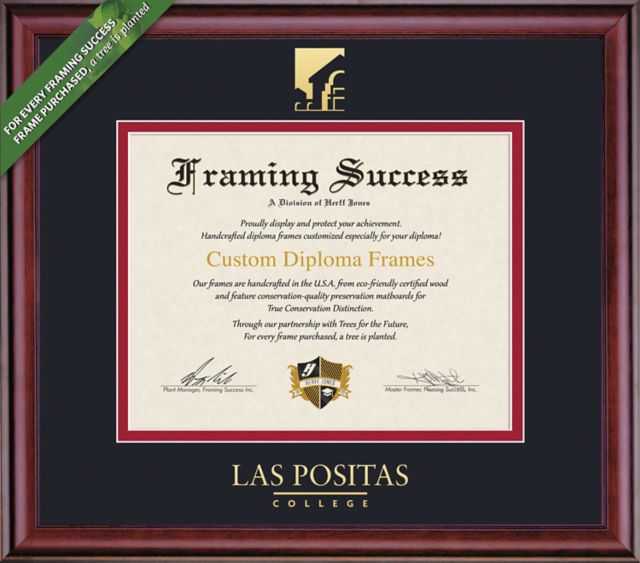 Framing Success Classic 8.5 x 11 Diploma with Double mat- ONLINE ONLY