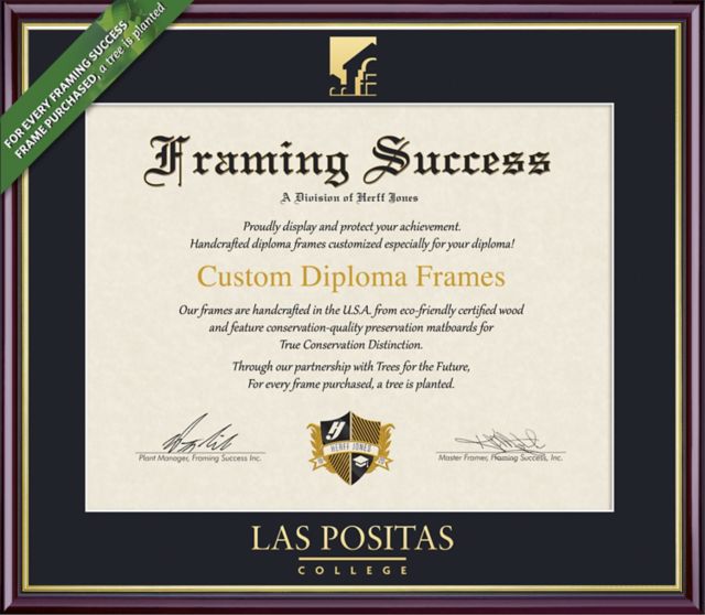 Framing Success Academic 8.5 x 11 Diploma with Single mat- ONLINE ONLY
