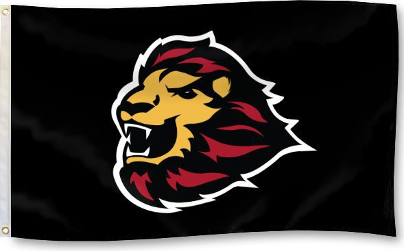 University of Saint Thomas 3'x5' Flag