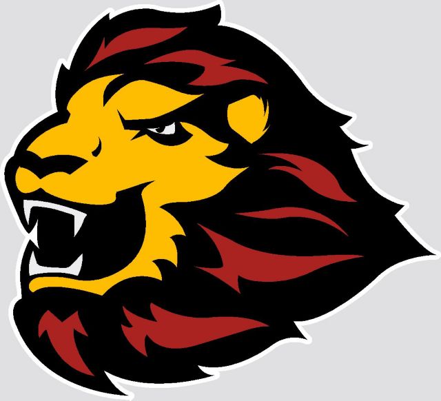 University of Saint Thomas Celts Decal