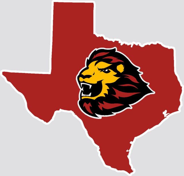 University of Saint Thomas Celts Decal