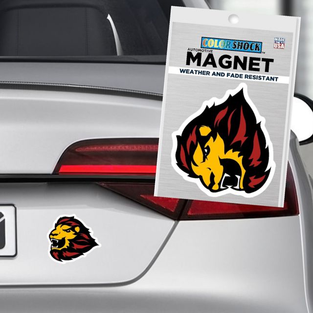 University of Saint Thomas 4x4 Small Celts Magnet