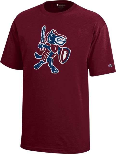 Fairleigh Dickinson University Knights Youth Short Sleeve T-Shirt
