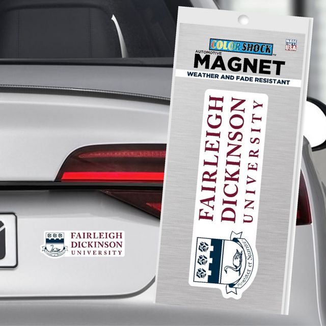 Fairleigh Dickinson University 4x4 Knights Magnet