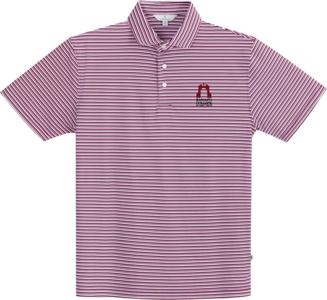 Ramapo College of New Jersey Stripe Performance Polo