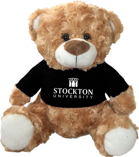 Stockton University 10 in. Plush Bear