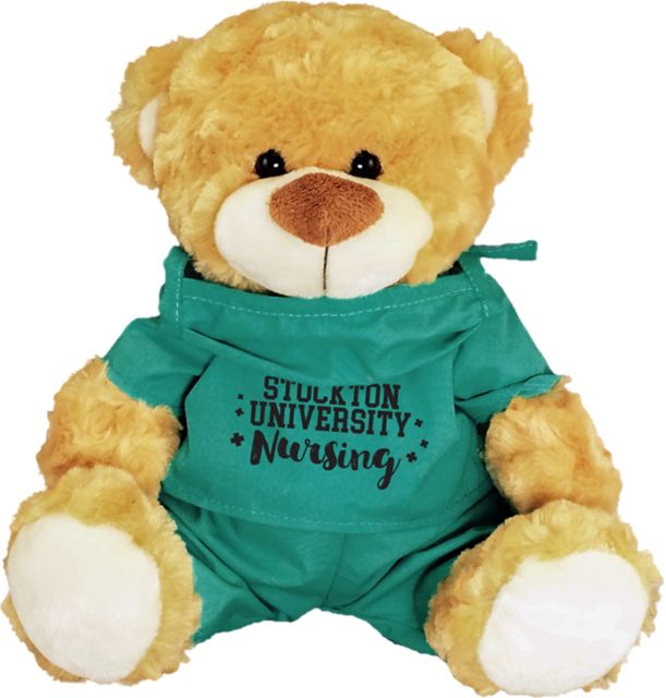 Stockton University Nursing 10" Fred Bear