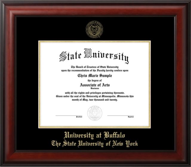 University at Buffalo 20x16 Diploma Frame