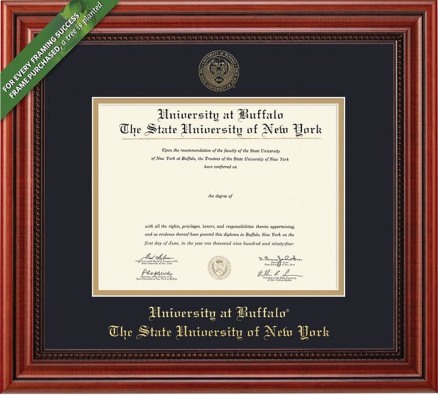 University at Buffalo BA/MA/Doc./Pharmacy Diploma Frame -ONLINE ONLY